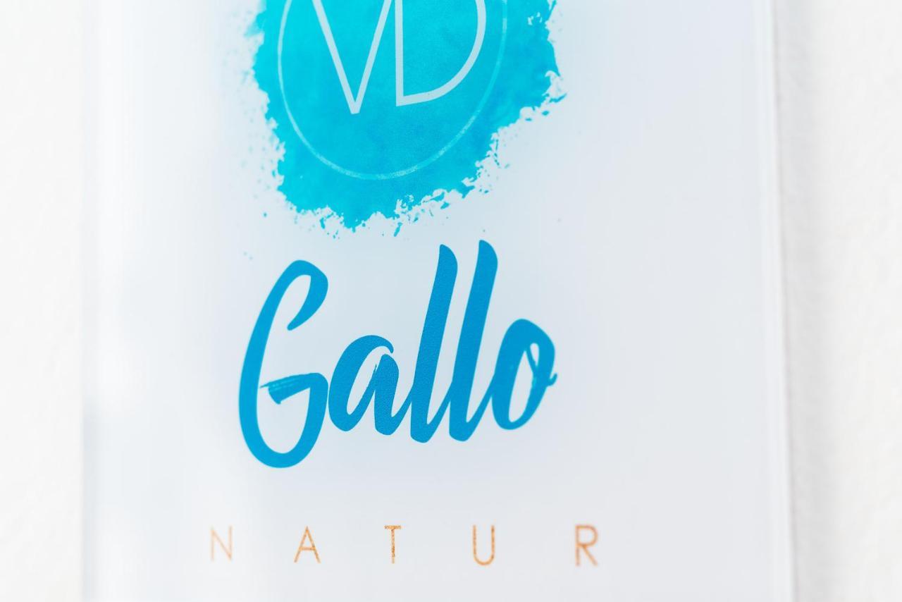 Delmar Natur - Gallo Charco del Palo Buitenkant foto